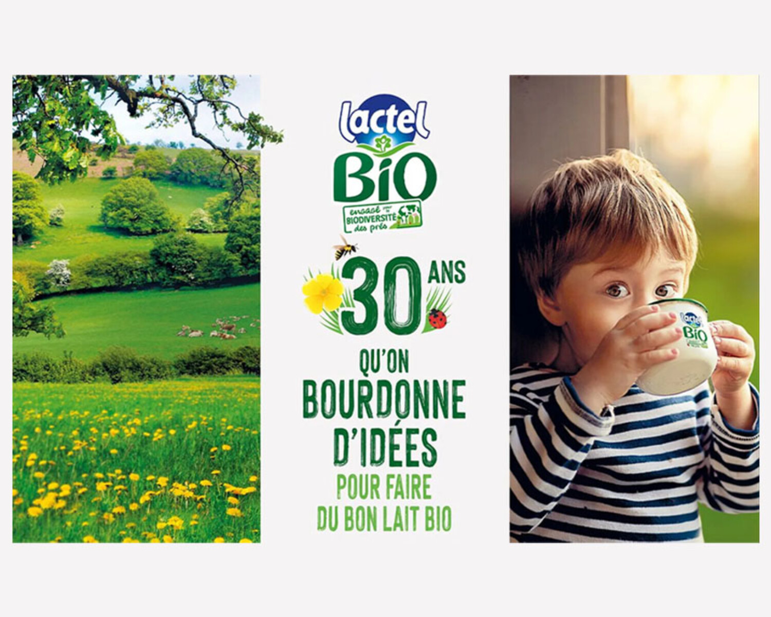 Conception rédaction activation Lactel